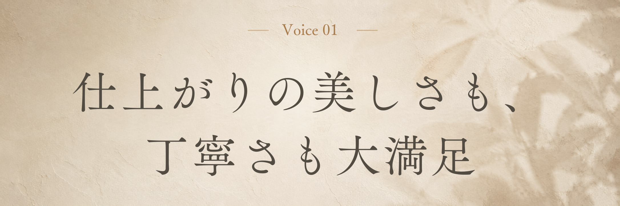 Voice 1