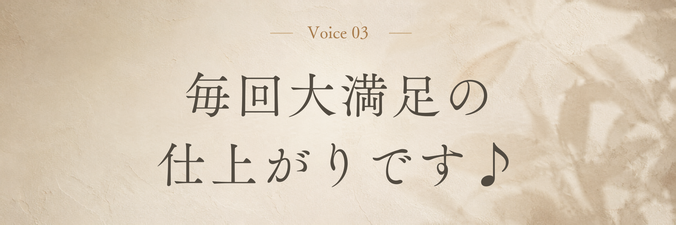 Voice 3